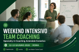 Team Coaching e Consulenza Evolutiva - Weekend Intensivo a Roma 12 e 13 giugno 2026