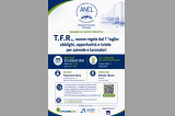 T.F.R., nuove regole dal 1° luglio: obblighi, opportunità e tutele per aziende e lavoratori